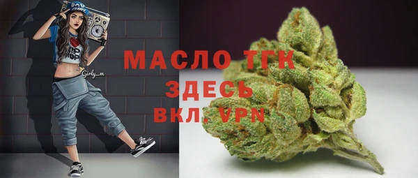 стаф Богородск