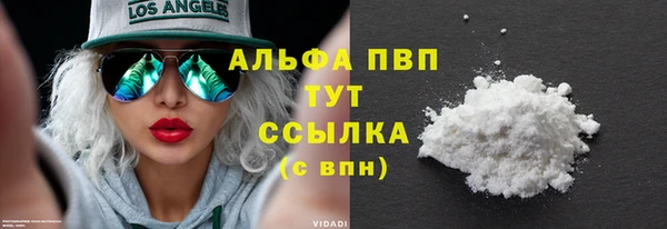 стаф Богородск