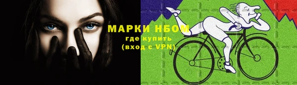 стафф Богородицк