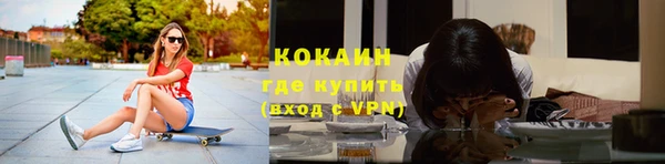 стаф Богородск