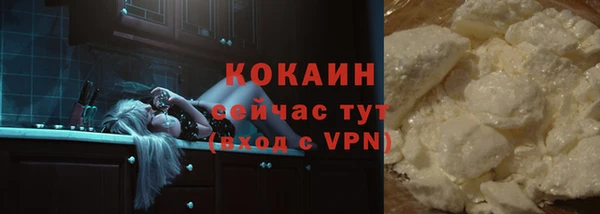 apvp Богданович