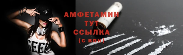 стаф Богородск