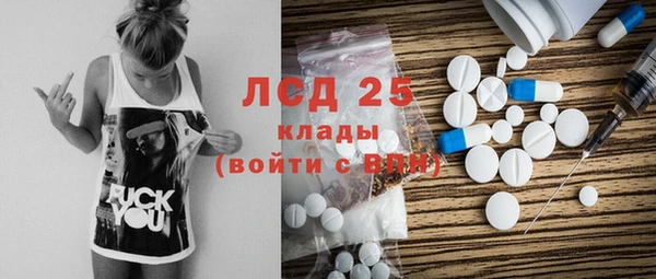 стафф Богородицк
