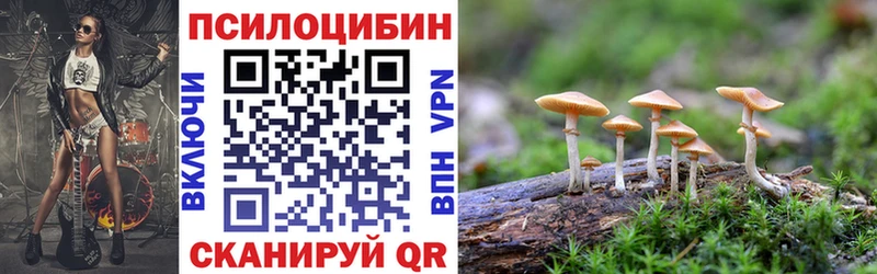 Галлюциногенные грибы Magic Shrooms Купить закладки Кандалакша